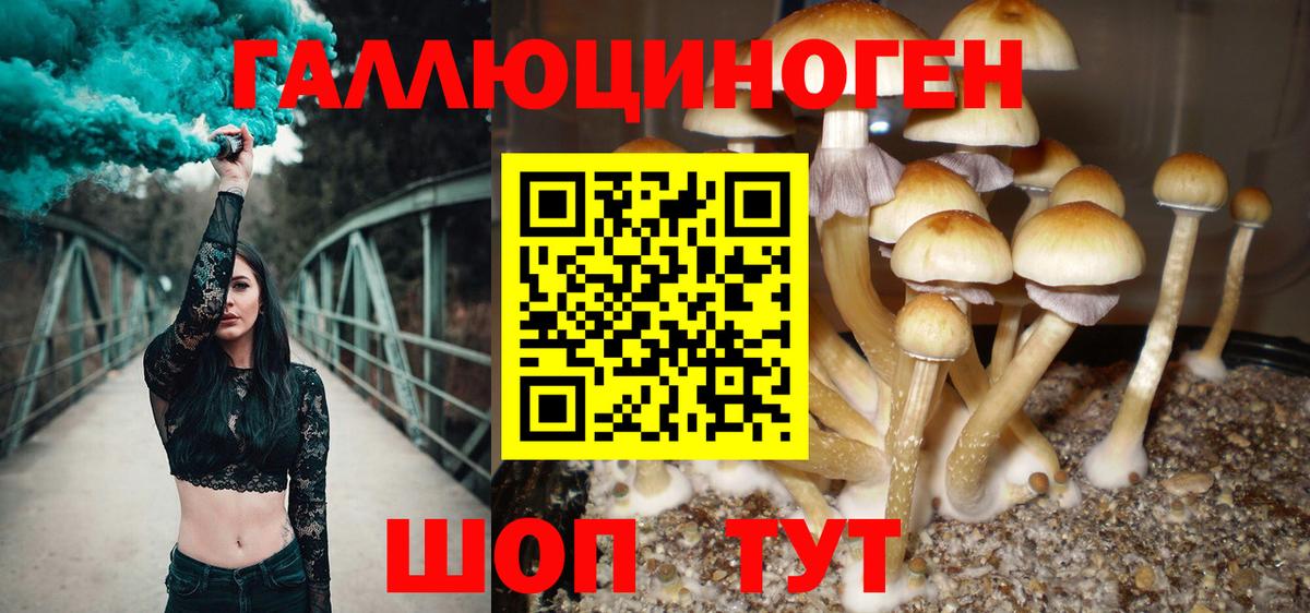 Псилоцибиновые грибы Magic Shrooms Сергиев Посад