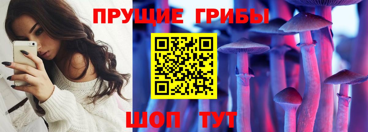 Сергиев Посад  Галлюциногенные грибы GOLDEN TEACHER  Вход с VPN 